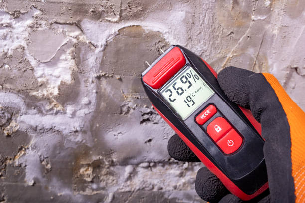 Home Mold Removal in Forty Fort, PA